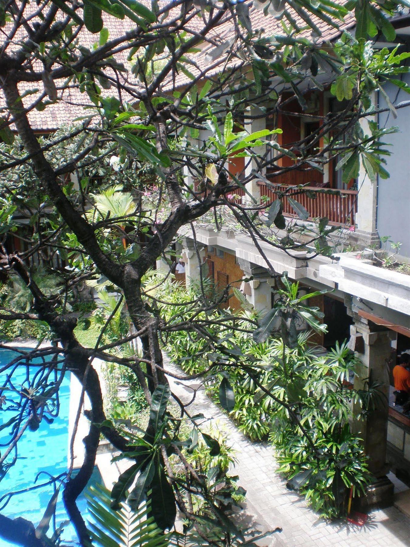 Swastika Guesthouse Sanur Exteriör bild